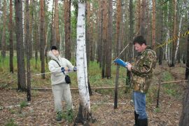 Отвод и таксация лесосек. Оценка качества лесоустроительных работ