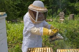 Пчеловодство, продукты пчеловодства и пчелоопыление