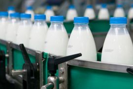 Наладчик оборудования в производстве молочной продукции